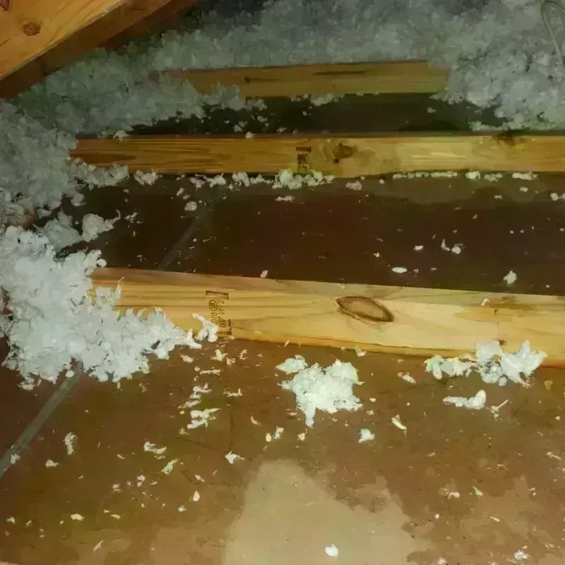 Attic Water Damage in Laurinburg, NC